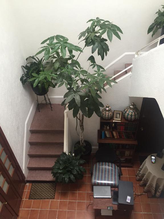 Отель Casa Maria Elena Condesa (Adults Only) Мехико Экстерьер фото