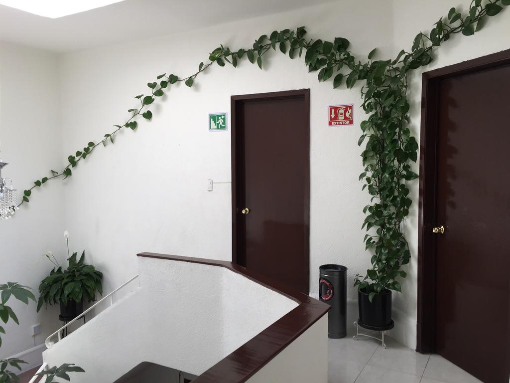 Отель Casa Maria Elena Condesa (Adults Only) Мехико Экстерьер фото