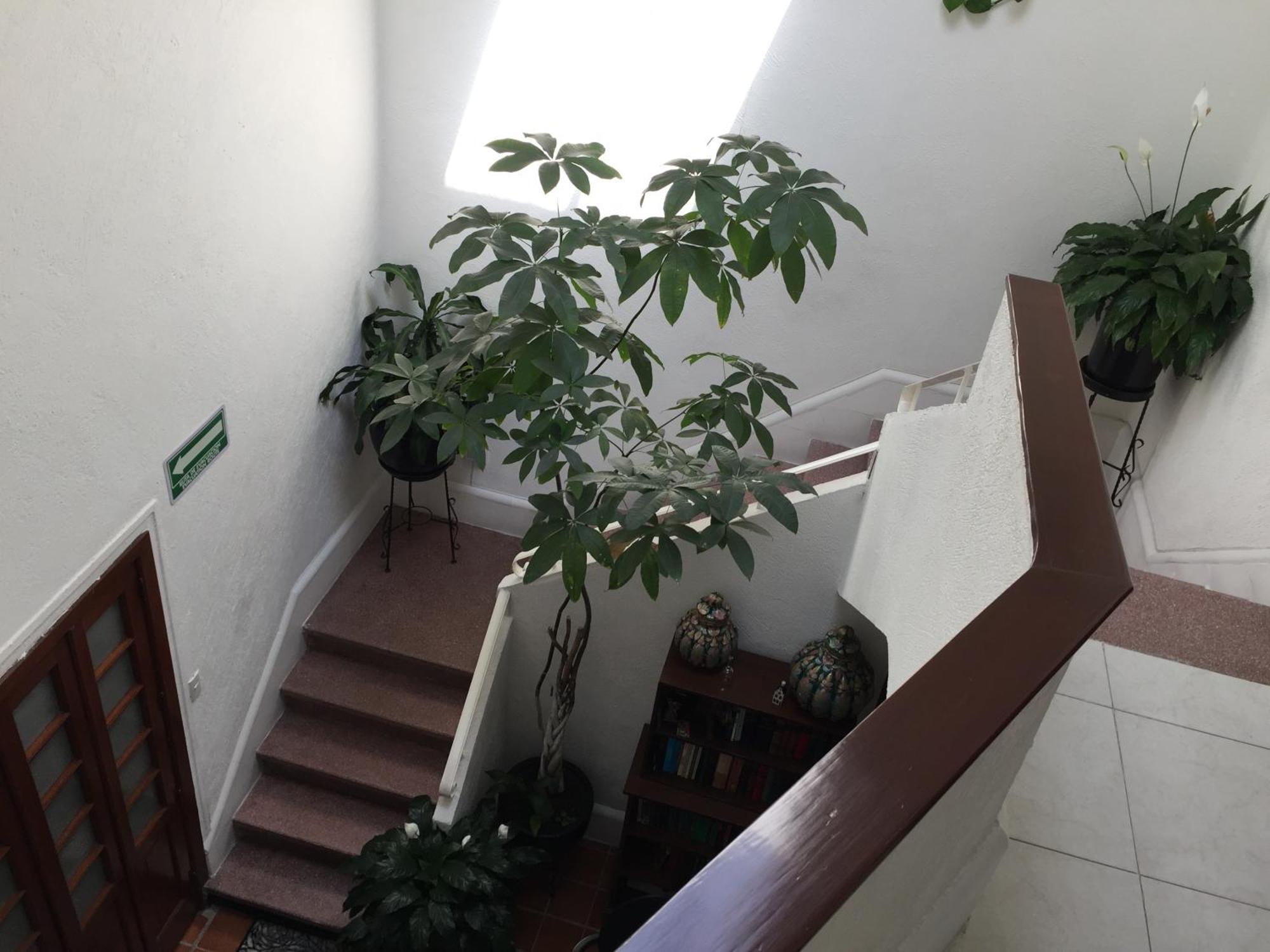 Отель Casa Maria Elena Condesa (Adults Only) Мехико Экстерьер фото