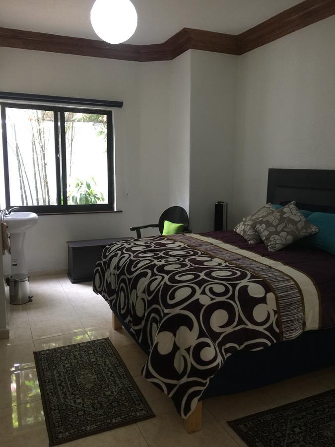 Отель Casa Maria Elena Condesa (Adults Only) Мехико Экстерьер фото
