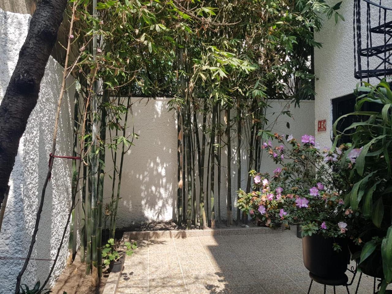 Отель Casa Maria Elena Condesa (Adults Only) Мехико Экстерьер фото